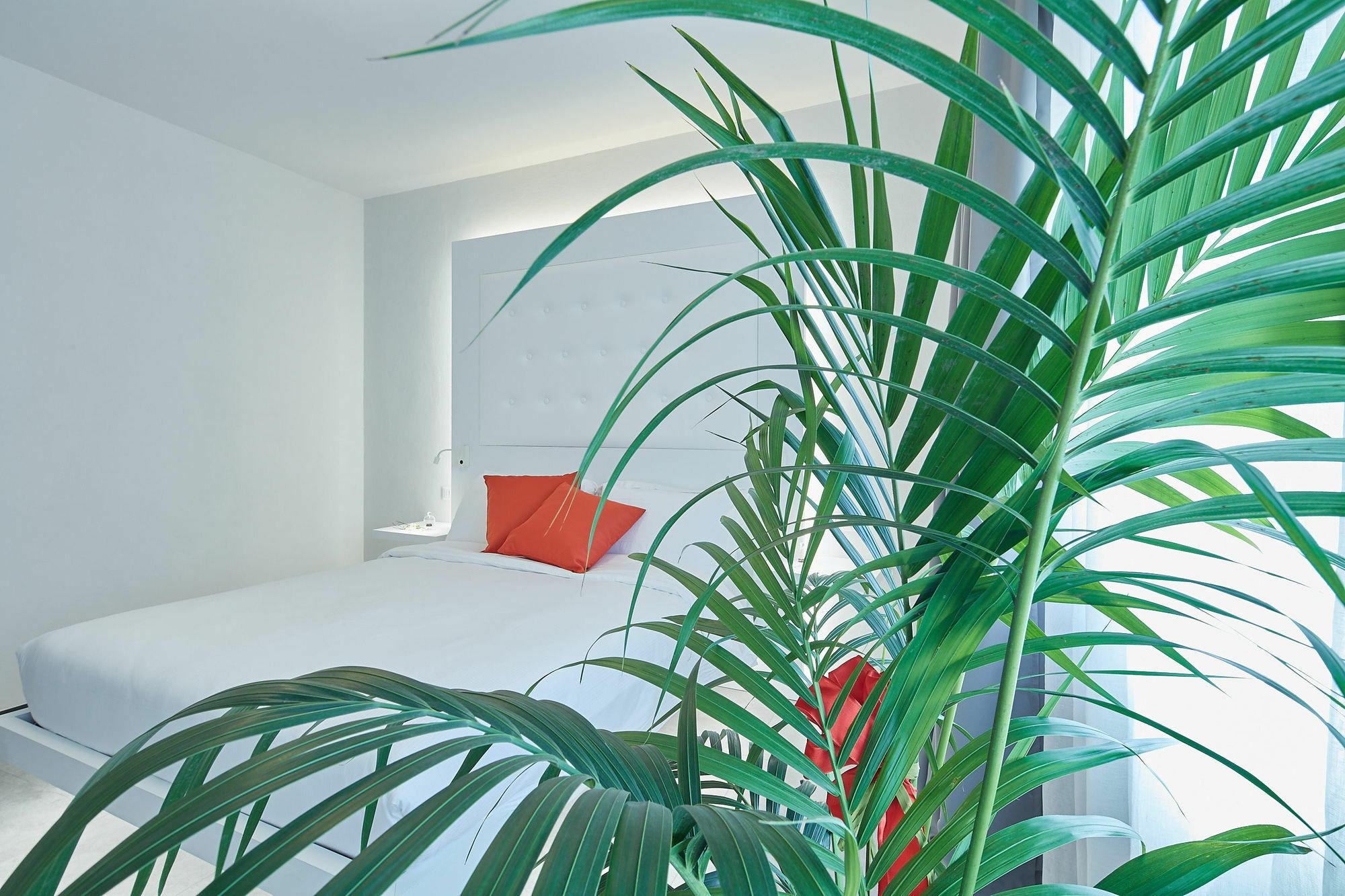 B&B Via Roma 25 Arezzo Eksteriør billede